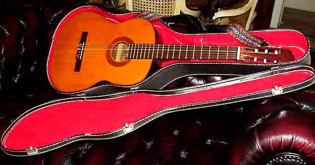 musi001-guitar-1.jpg (24051 bytes)